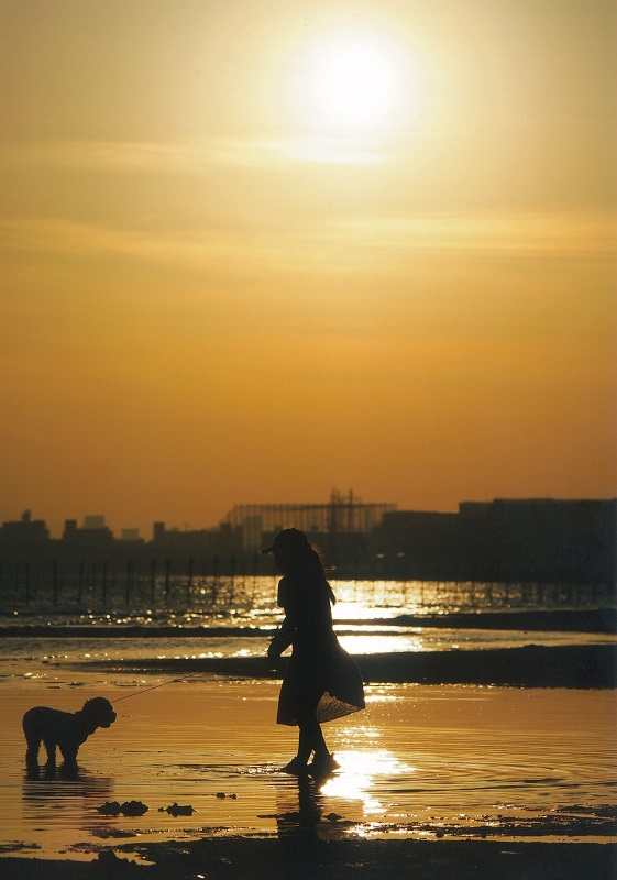 夕景の少女と犬