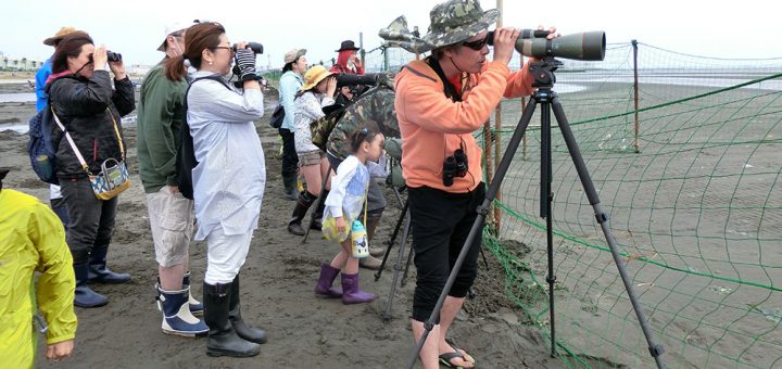 三番瀬探検隊「♪鳥くんと野鳥を探そう」