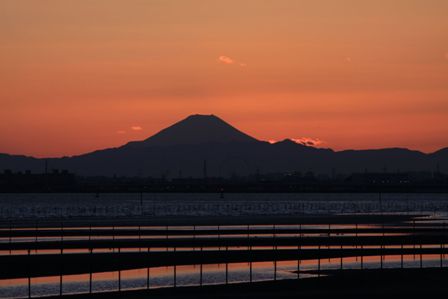 河原 政義さん「三番瀬夕照」