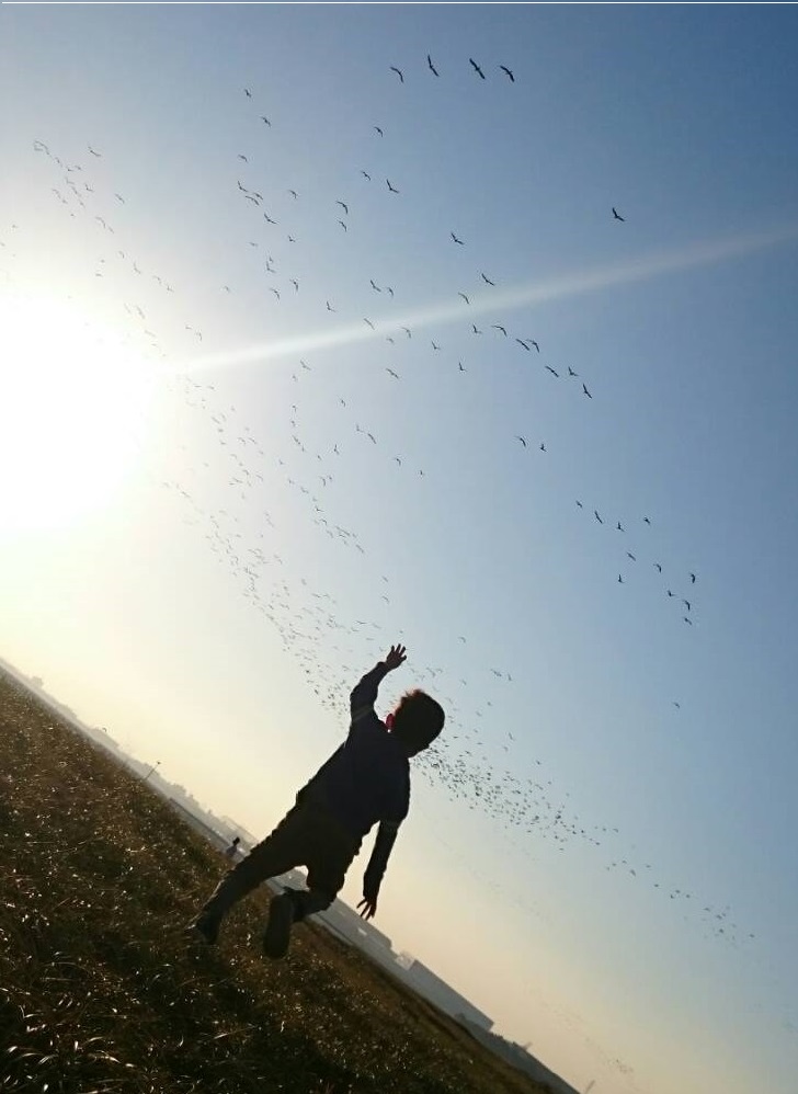 吉賀 正知さん「鳥と空と僕」