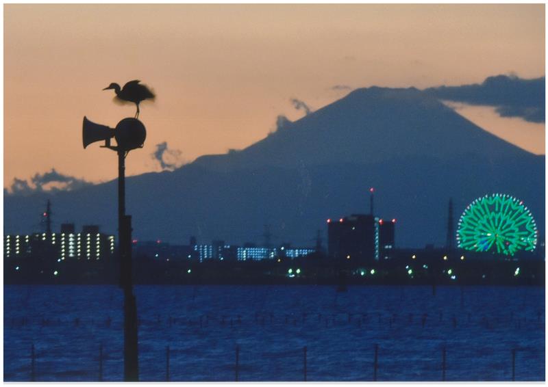 夕暮れの一休み