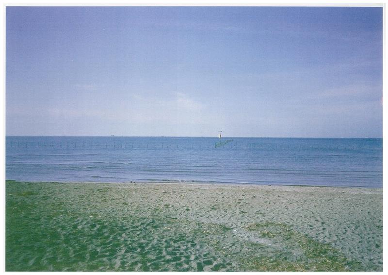 朝の海