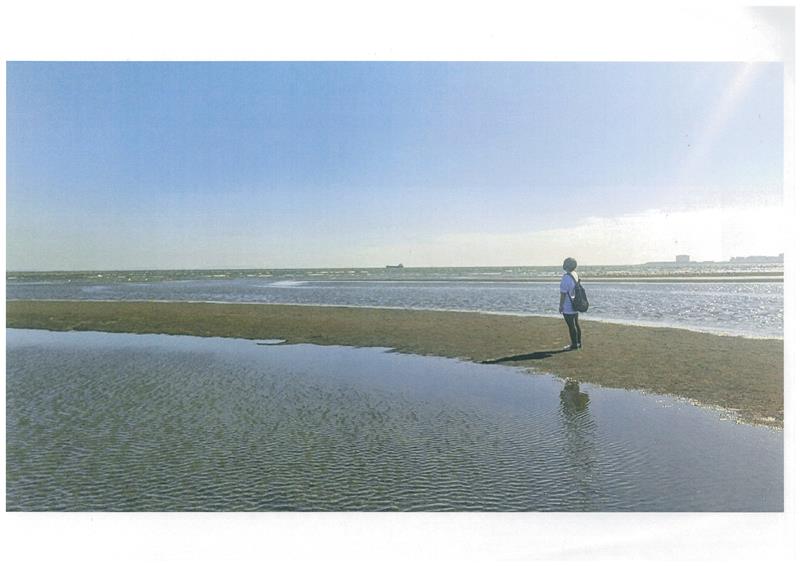 海の中の道