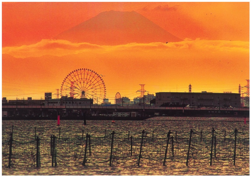 三番瀬夕照