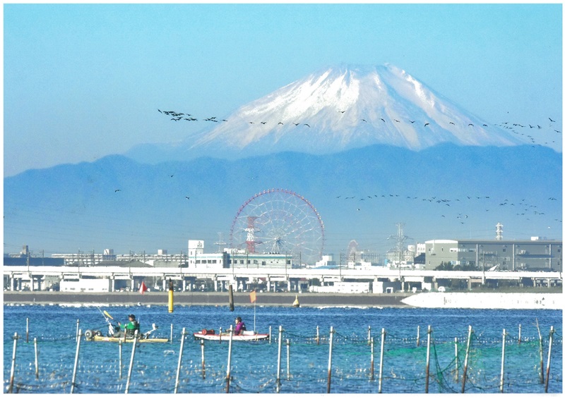 壮快な三番瀬の休日