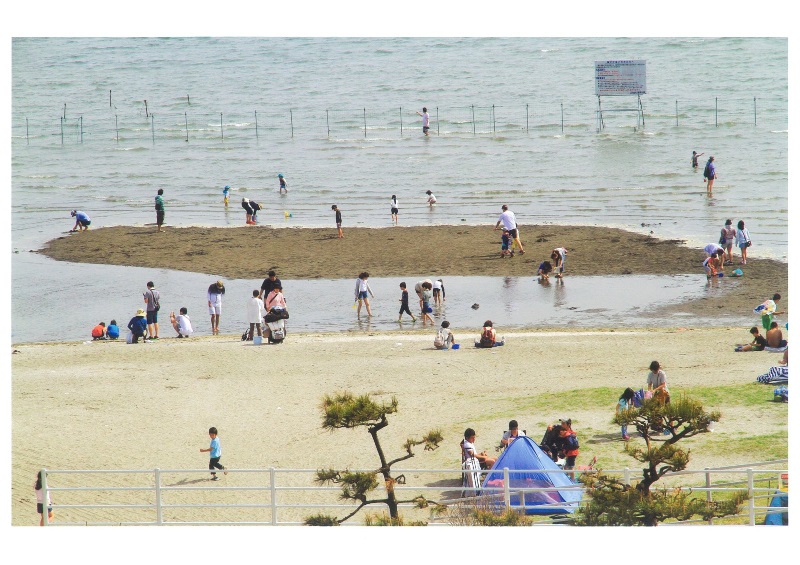 干潟の遊び場