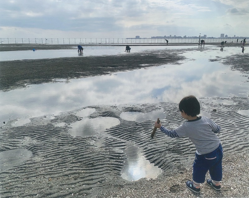 かにさんはどこ？