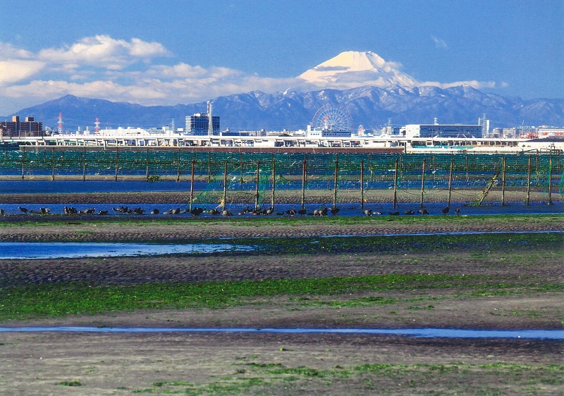干潟富士