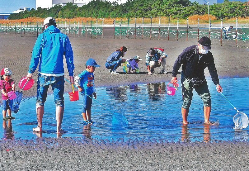 海辺のファミリー
