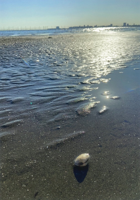 秋の三番瀬海浜公園
