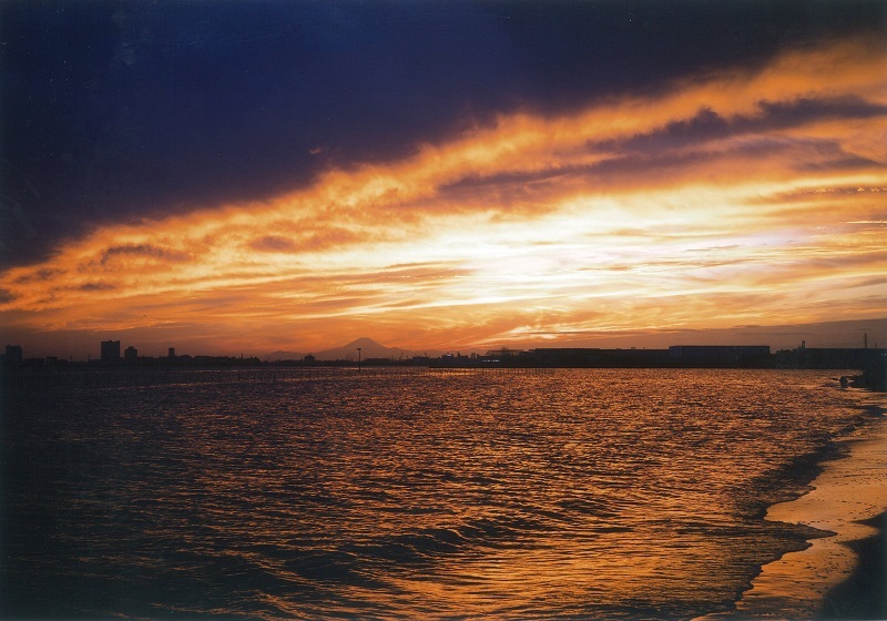 茜海
