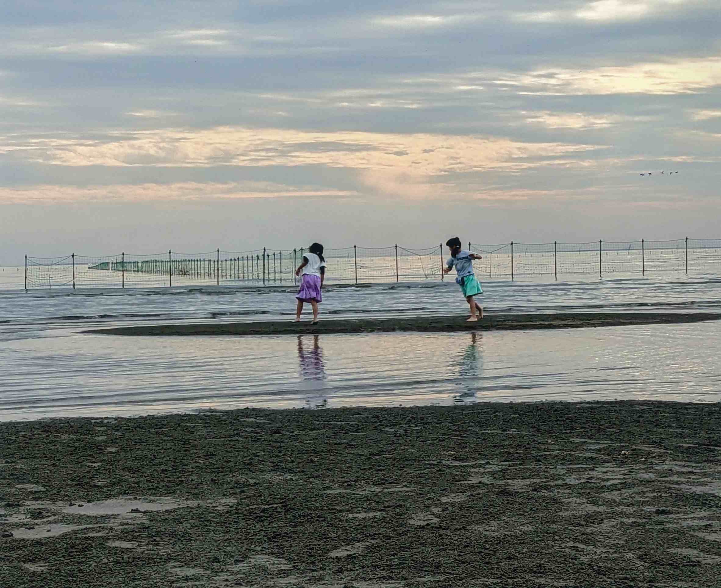 双子の干潟ダンス
