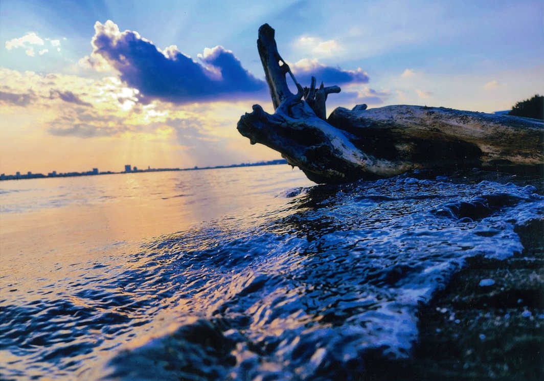 夕陽を見ている