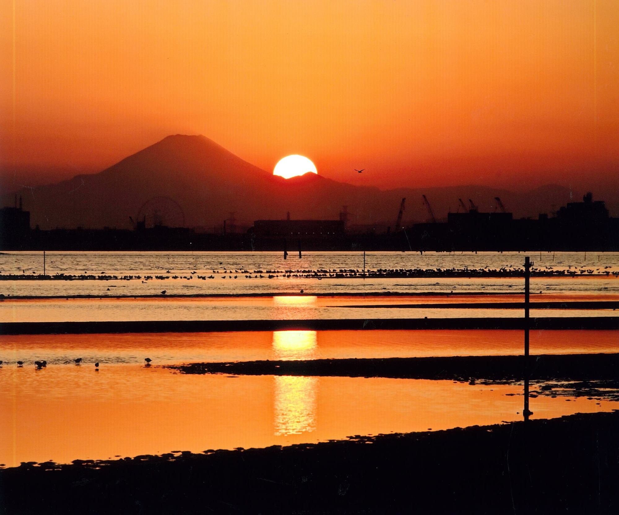 三番瀬の夕日