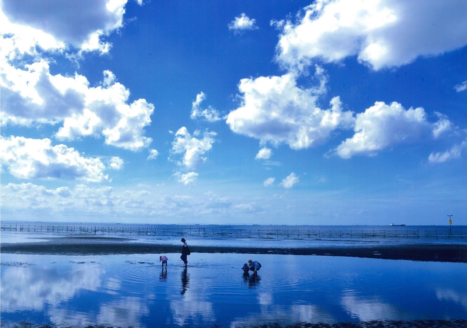 夏全開