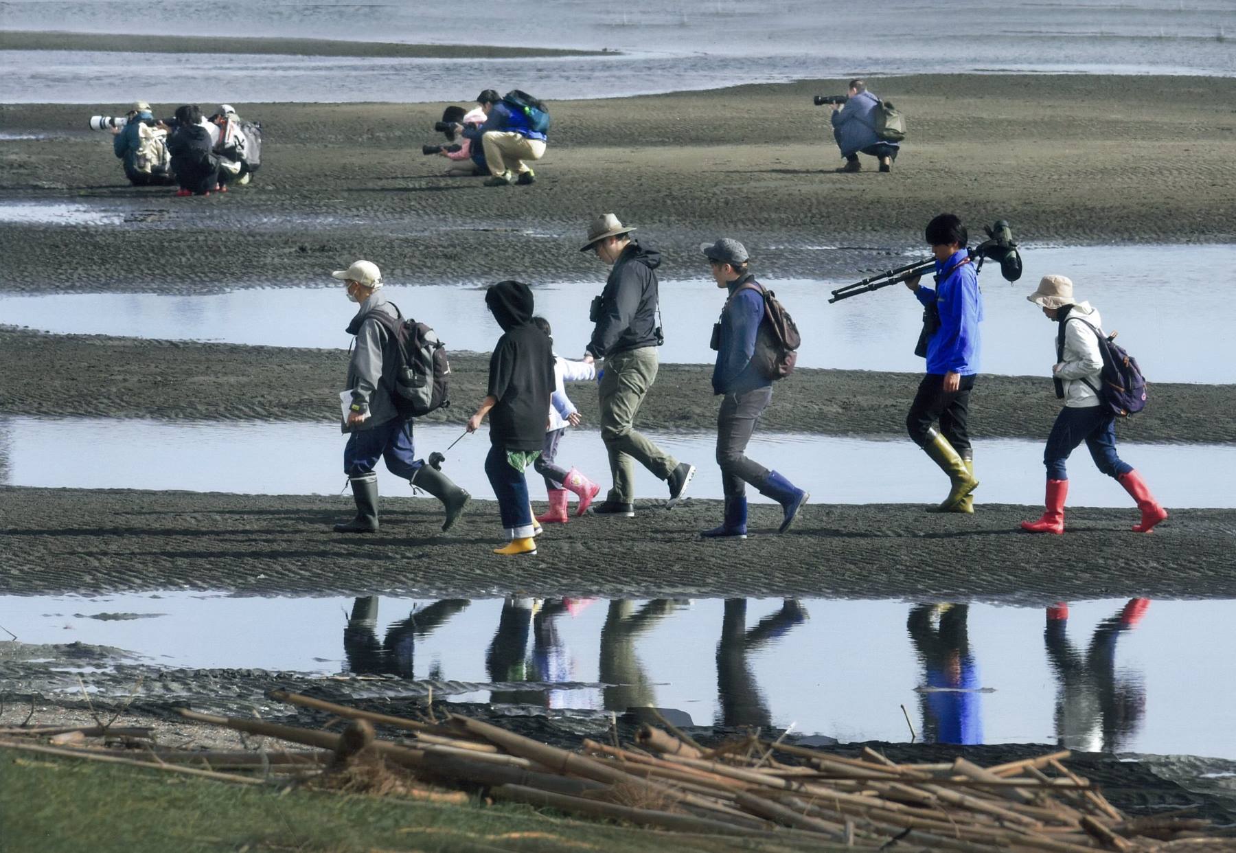 鳥を撮る人たち