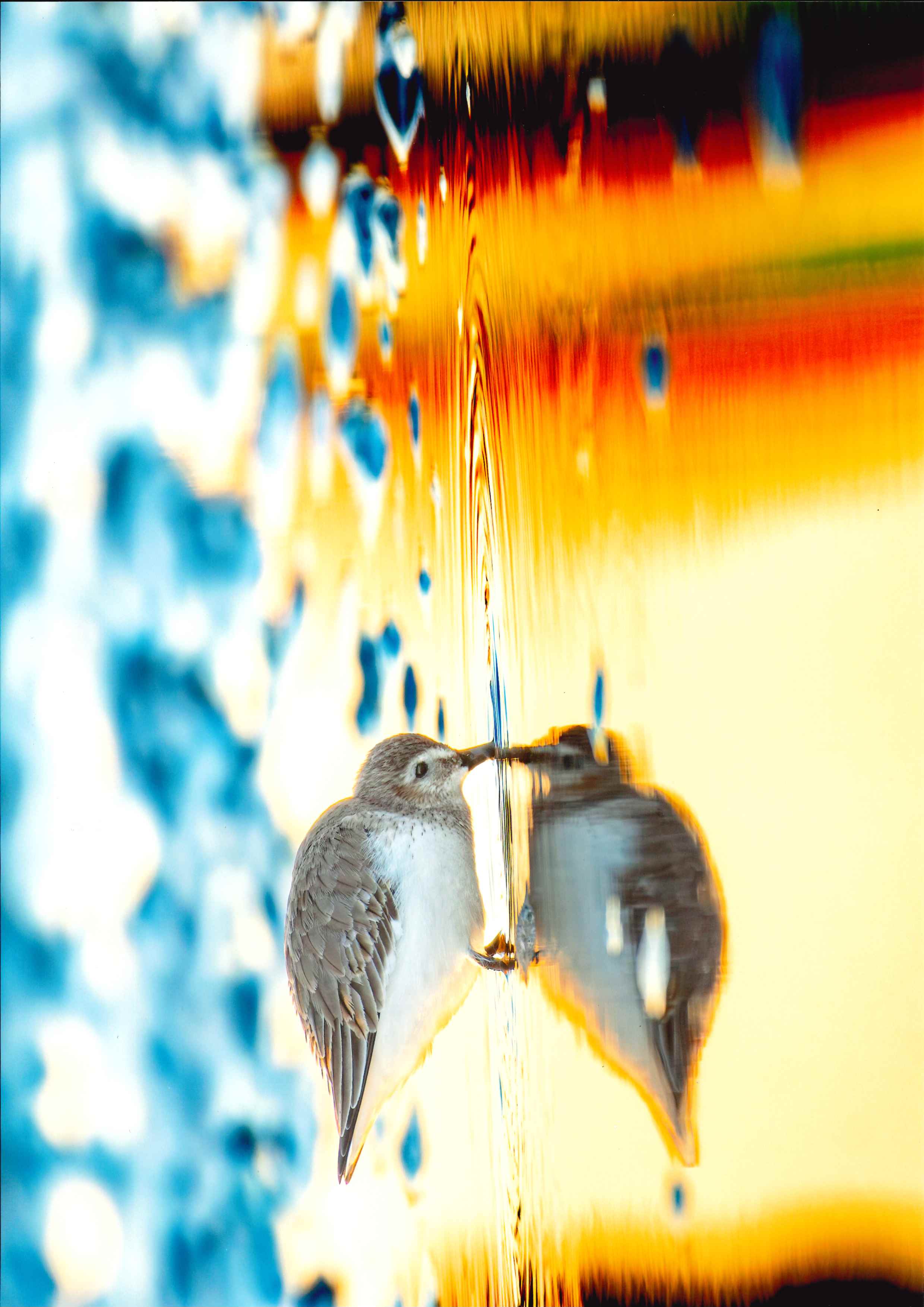 馬場 悠樹さん「夕暮れ鏡」