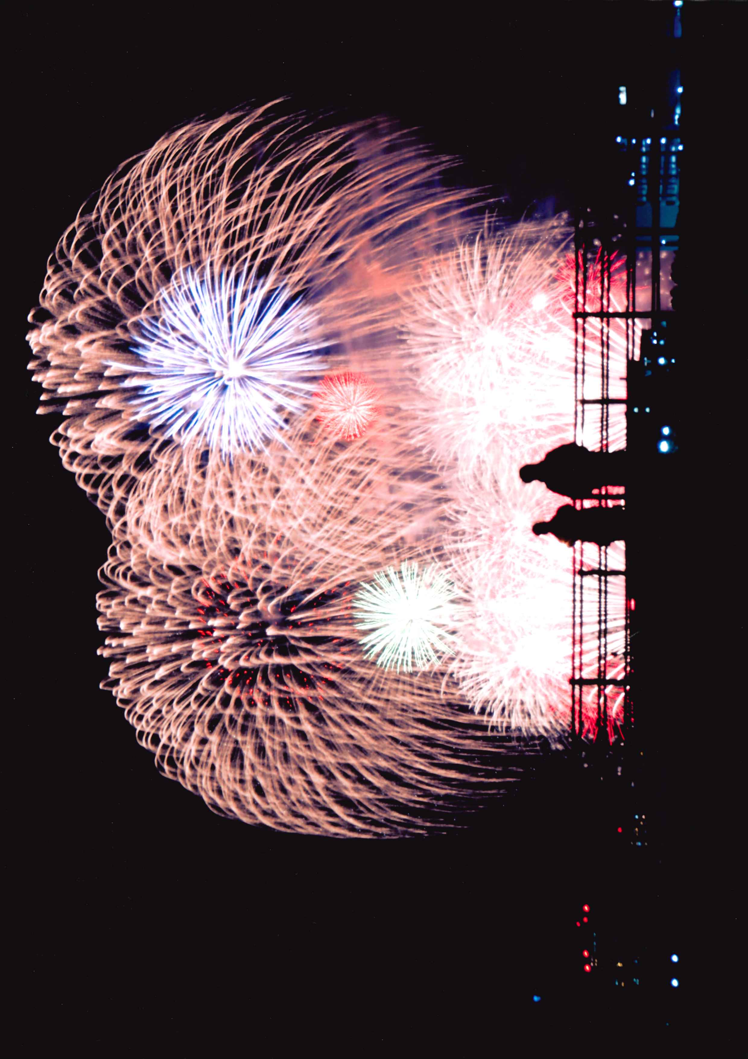 糸賀 一典さん「うっとり…。」