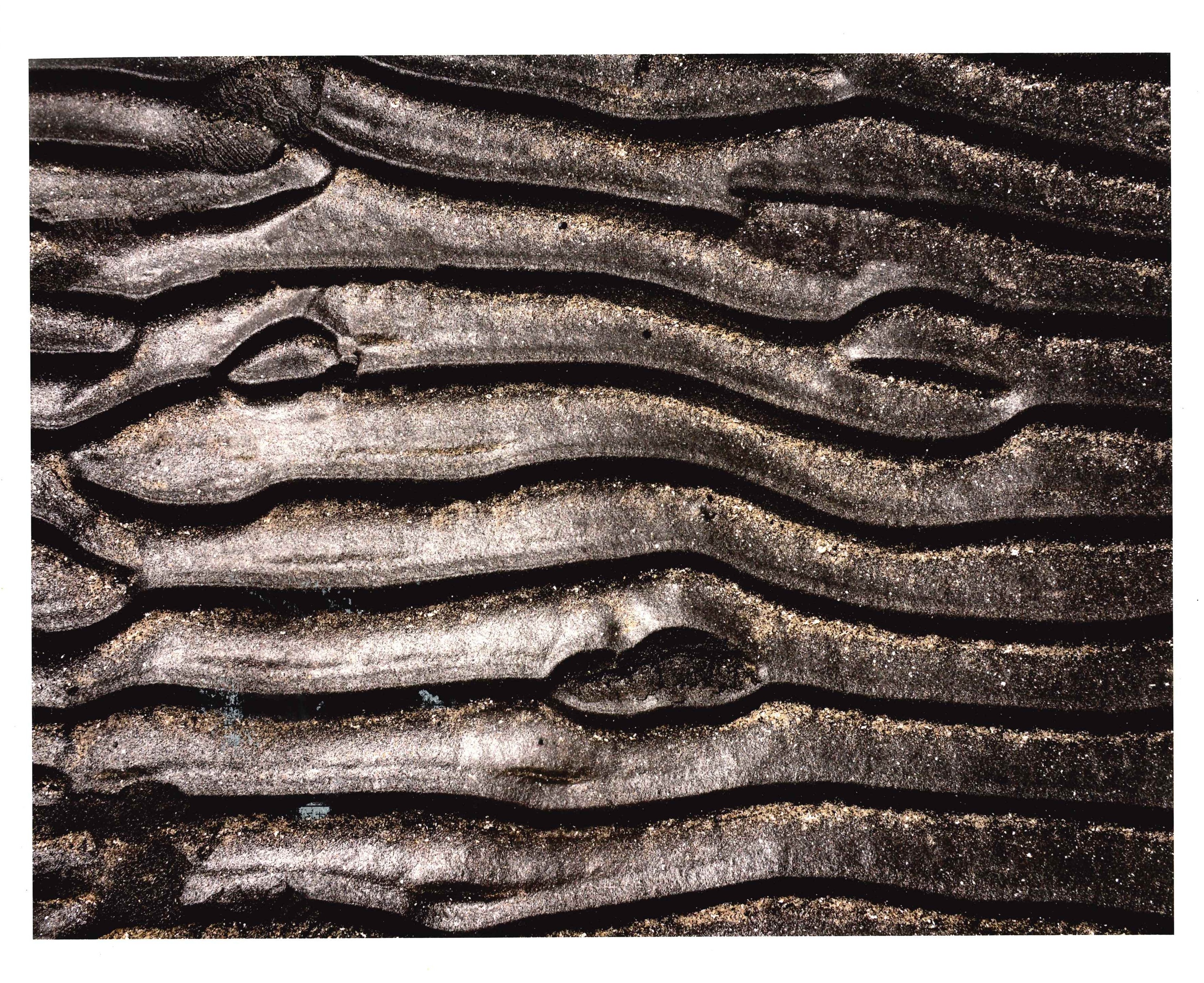 大滝 俊隆さん「浜の微笑み」