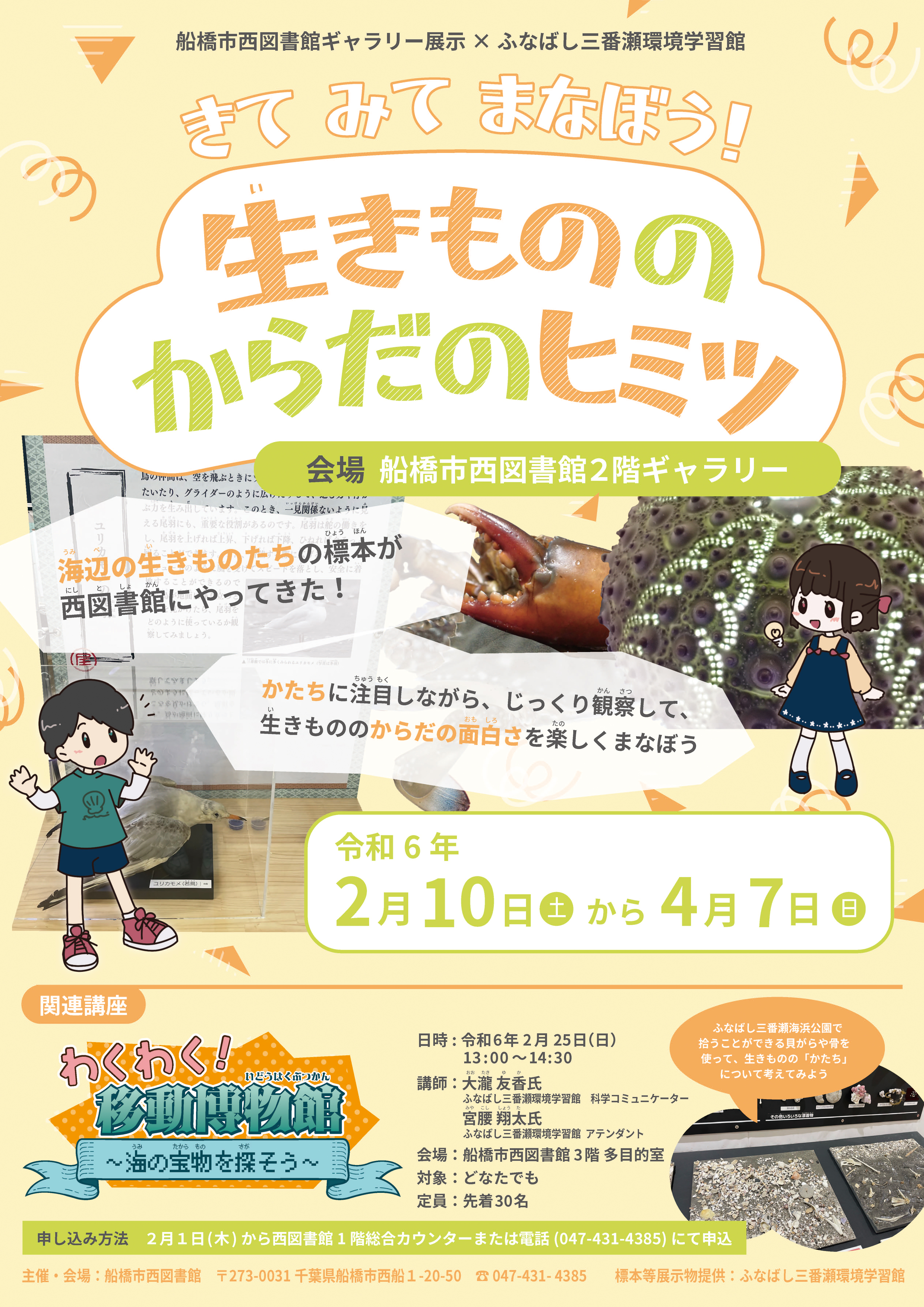 2024年船橋市西図書館ギャラリー展示