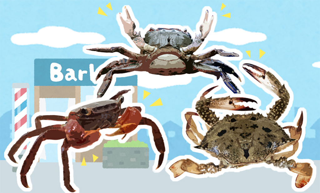 さばかんチャンネル・ちびっこ生きものおはなし会「カニ」