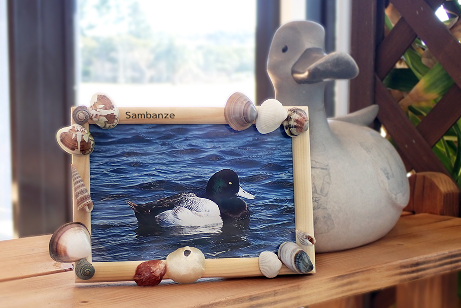 さばかんチャンネル「三番瀬フォトフレームを作ろう」