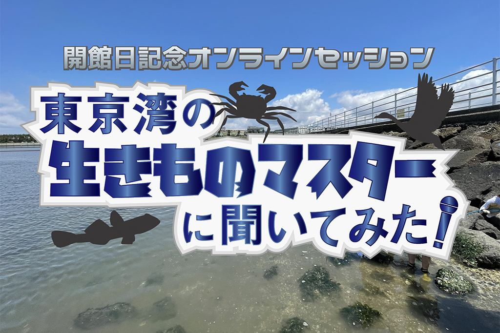 開館日記念オンラインセッション「東京湾の生きものマスターに聞いてみた!」