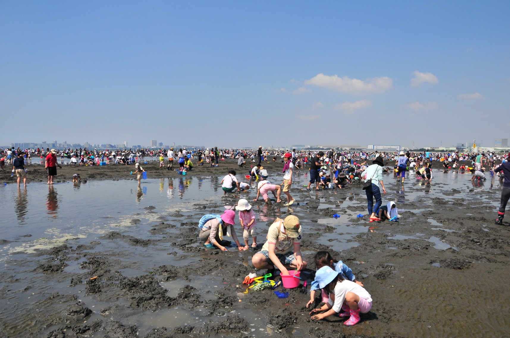 三番瀬探検隊「三番瀬で潮干狩りをしよう」