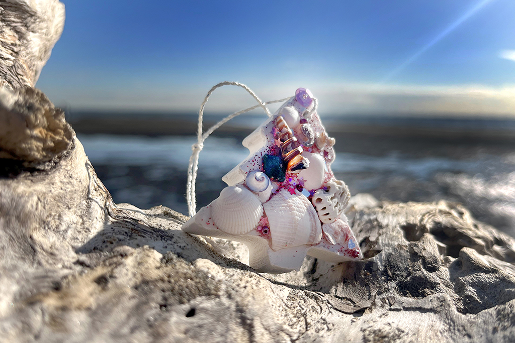 三番瀬探検隊「ビーチコーミングをしよう」