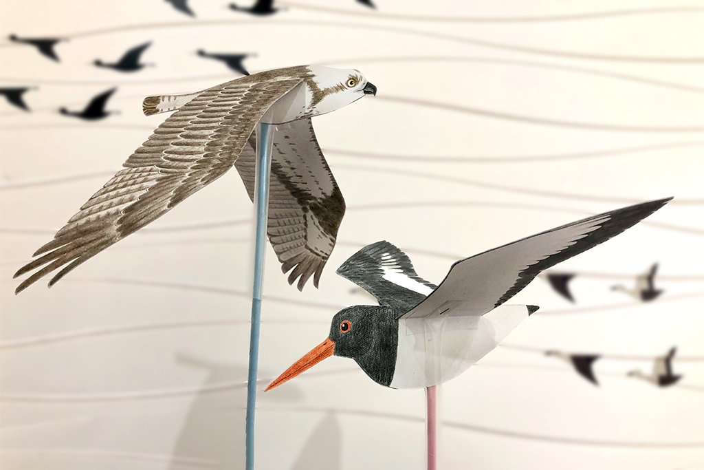 「パタパタはばたく!鳥を作ろう」