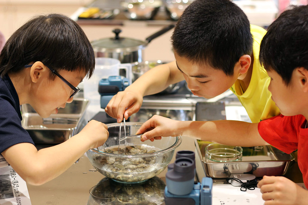 生きもののしくみを知ろう「アサリ」