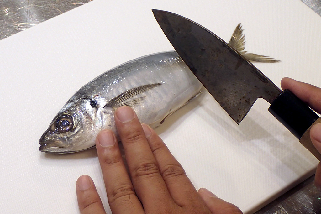 海の恵みを味わおう「アジのハンバーグ」