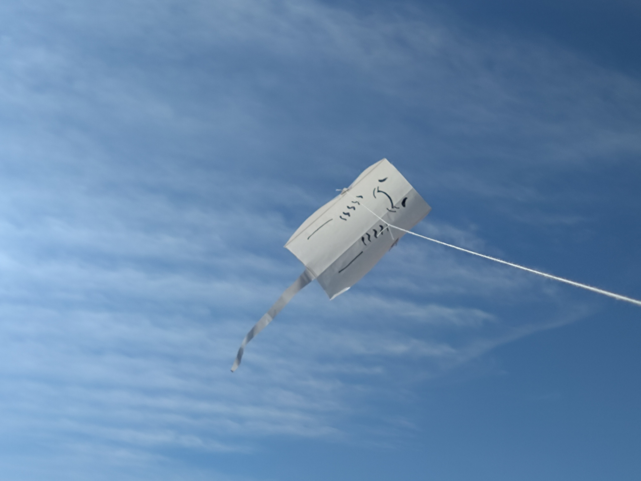 ちびっこ集まれ！かんたんアート「エイのタコを作ろう」