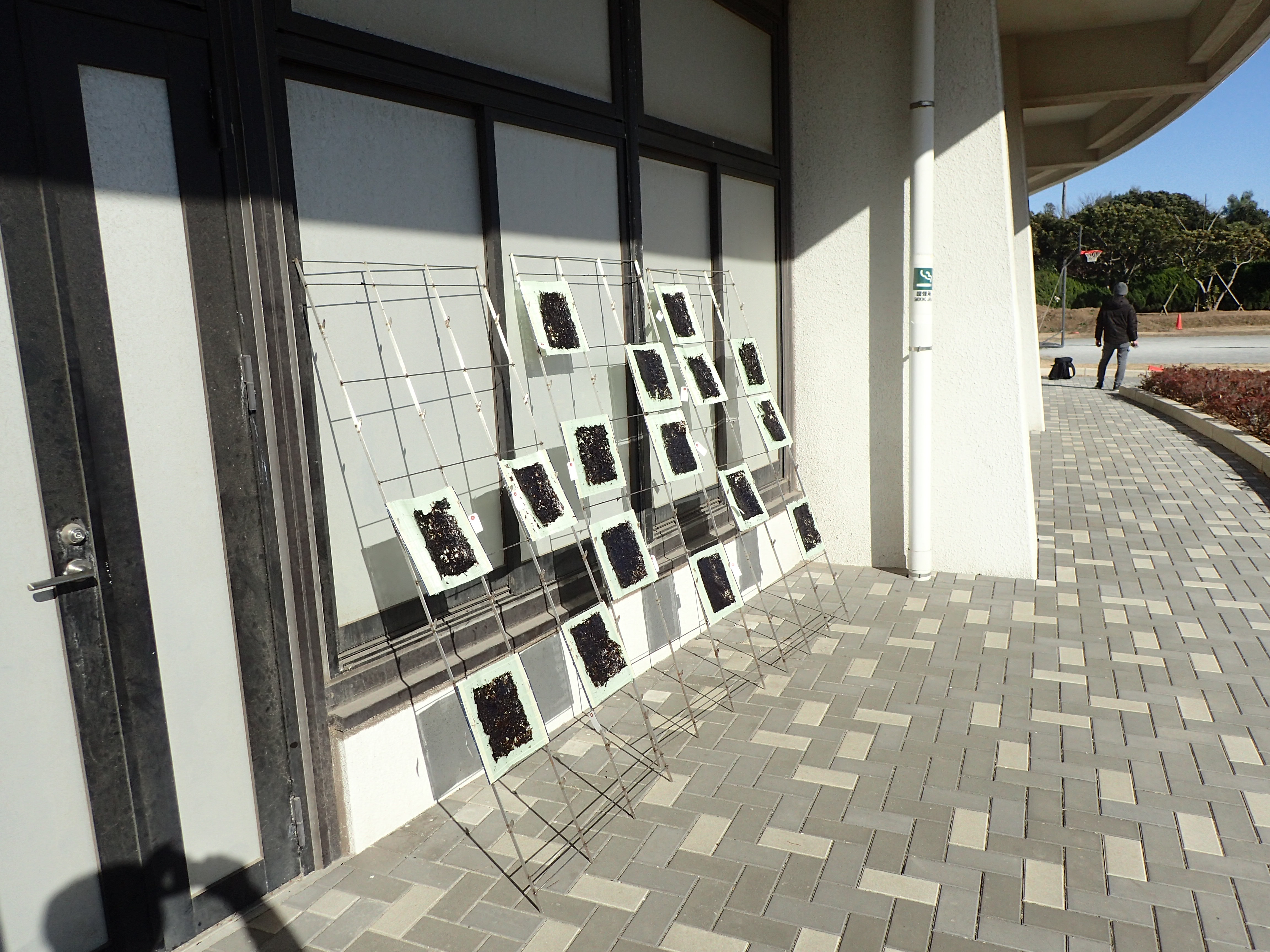 友の会限定ワークショップ「海苔すきをしよう」