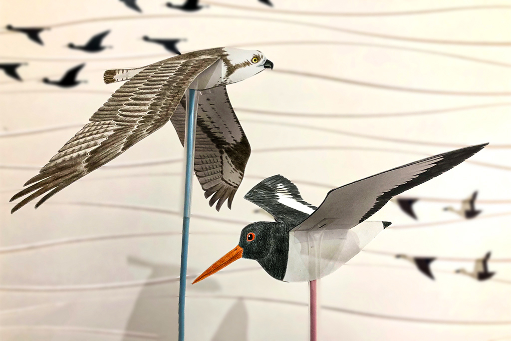 「パタパタはばたく！ 鳥を作ろう」
