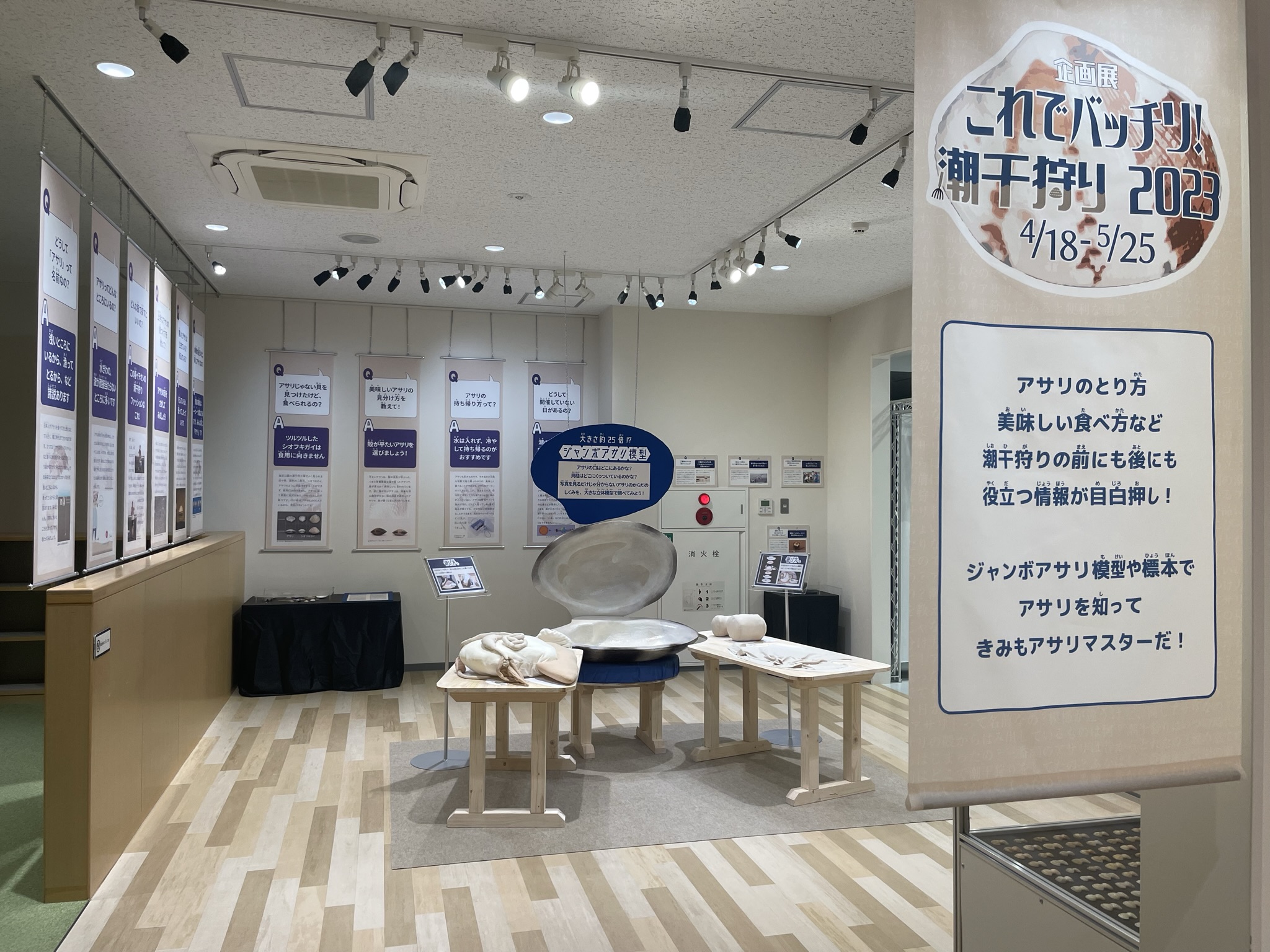 これでバッチリ!潮干狩り2023の会場の様子