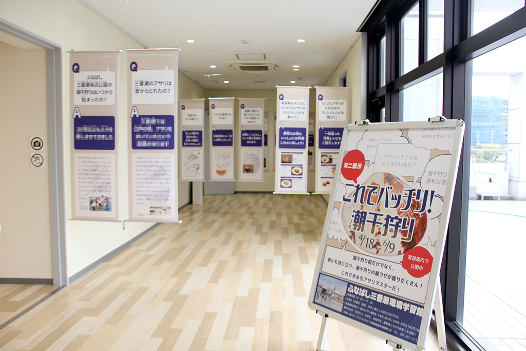 企画展 これでバッチリ 潮干狩り21 ふなばし三番瀬海浜公園 ふなばし三番瀬環境学習館