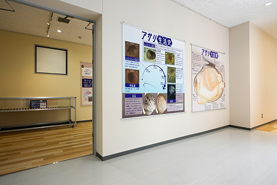 企画展「これでバッチリ! 潮干狩り2021」