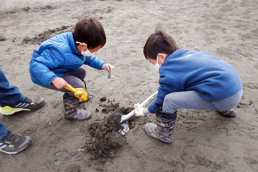 ちびっこ集まれ！探検隊「干潟の生きものを探そう」