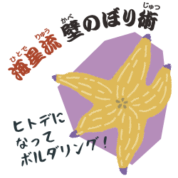 説明入る