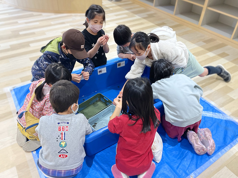 タッチプールを囲む子供たち