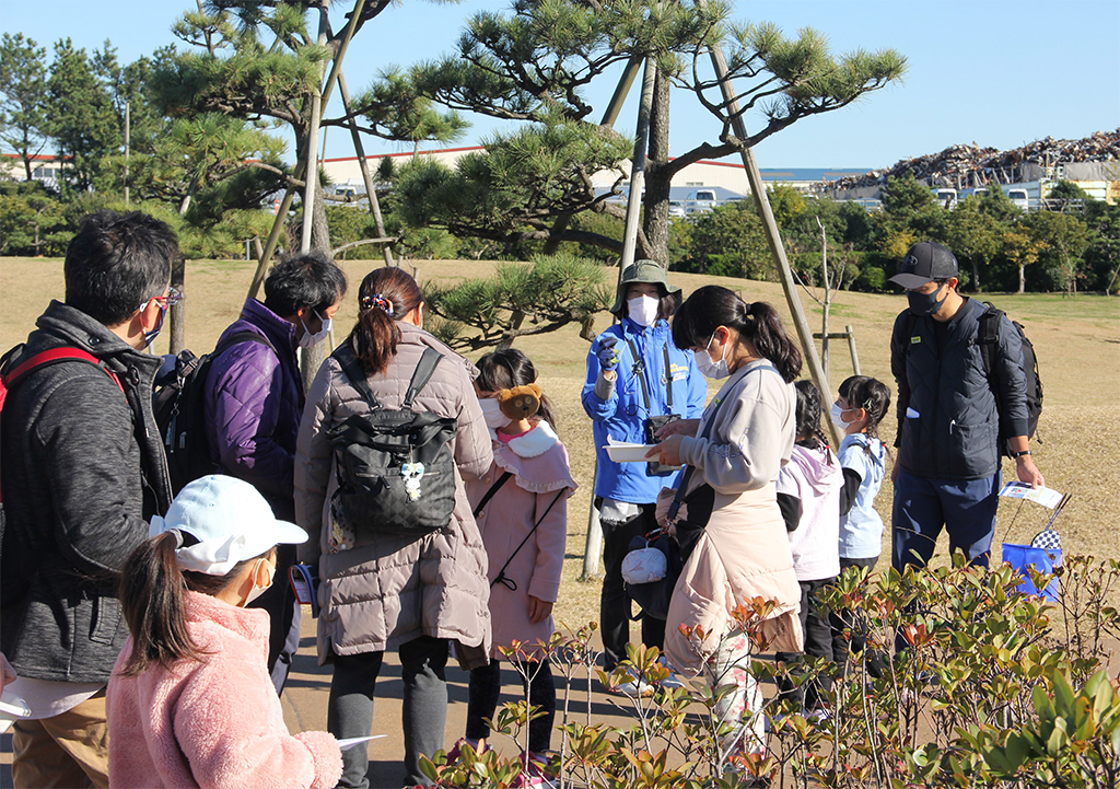 三番瀬探検隊「浜辺の植物を探そう」