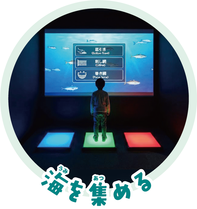 海を集める