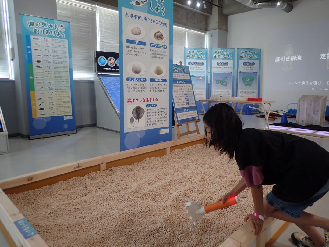 実際の展示の写真