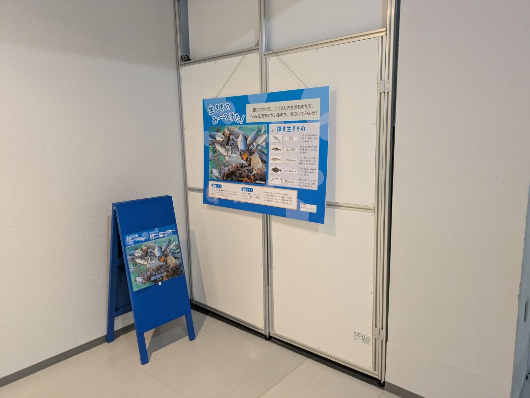 実際の展示の写真