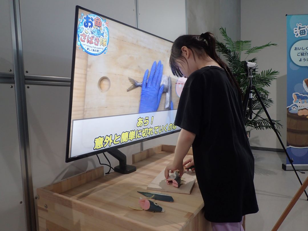 実際の展示の写真