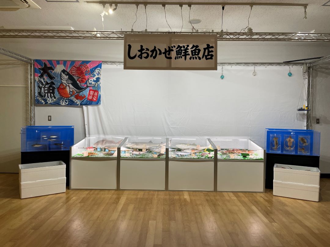 実際の展示の写真