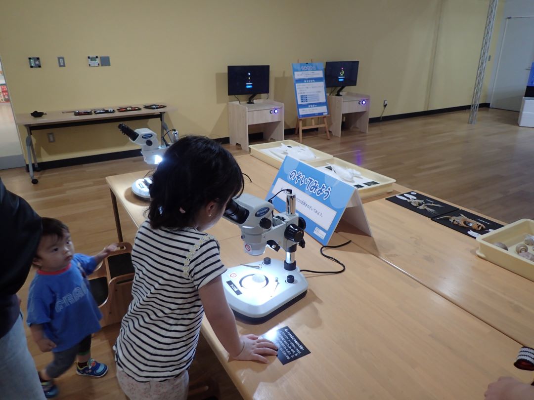 実際の展示の写真