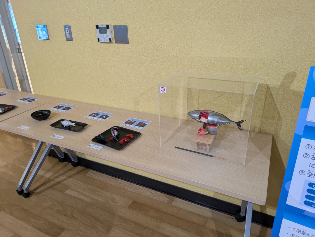 実際の展示の写真