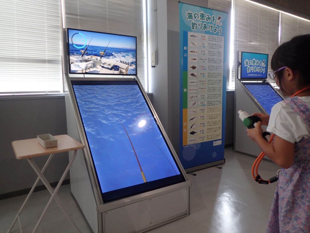 実際の展示の写真